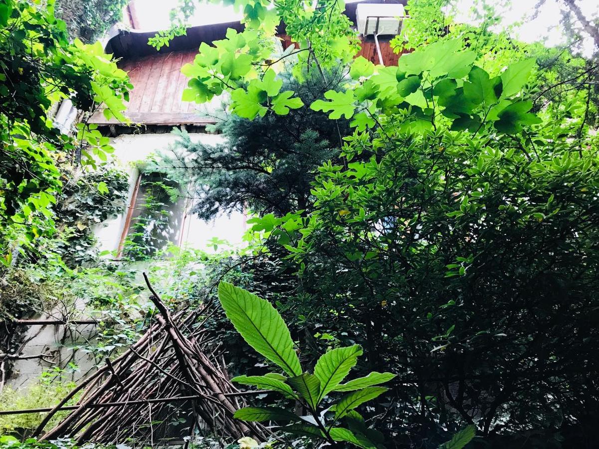 Tania'S Home 第比利斯 外观 照片